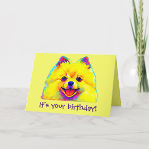 Carte Joyeux anniversaire coloré Pomeranian