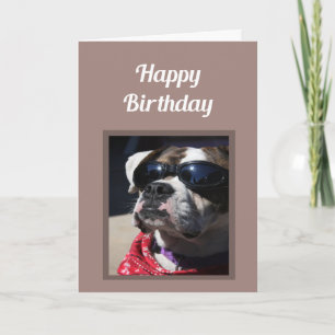 Carte Joyeux anniversaire Cool Dude Fun Boxer Chien Salu