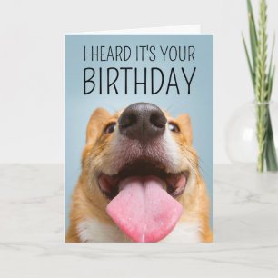 Carte Joyeux anniversaire   Corgi Smile