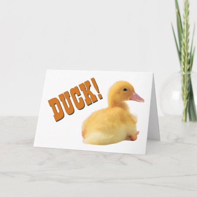 Carte Joyeux anniversaire de Canard (Devant)