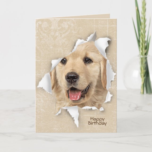 Carte Joyeux anniversaire de Golden Retriever (Devant)