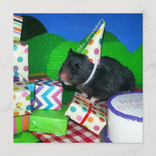 Carte Joyeux anniversaire de hamster !