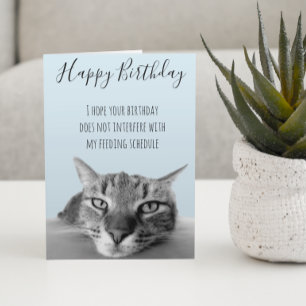 Carte Joyeux Anniversaire de la part de Chat Humour Drôl