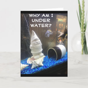 CARTE JOYEUX ANNIVERSAIRE DE L'HUMOUR GNOME