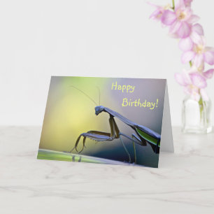 Carte Joyeux Anniversaire de Mantis