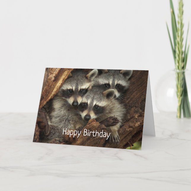 Carte Joyeux anniversaire de nous tous Fun Raccoons (Devant)