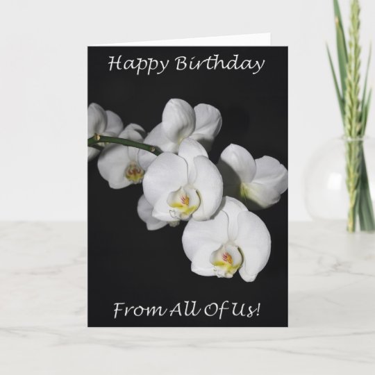 Carte Joyeux Anniversaire De Nous Tous Orchidee Blanche Zazzle Ch