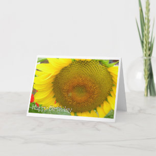 Carte joyeux anniversaire de tournesol