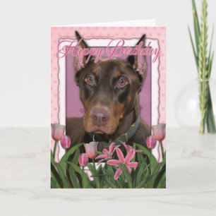 Carte Joyeux anniversaire - Doberman - Rocky