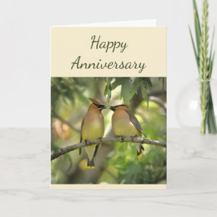 Carte Joyeux anniversaire d'oiseaux en amoureux 
