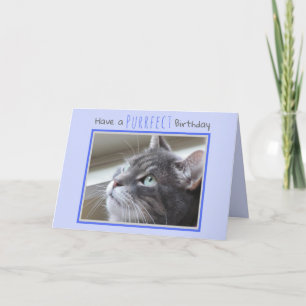 Carte Joyeux anniversaire du chat