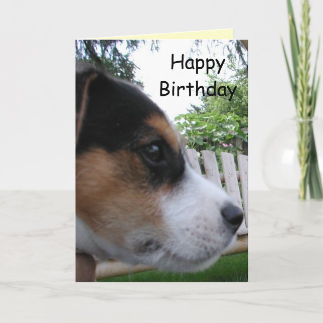 Carte Joyeux anniversaire du chien ! (Devant)