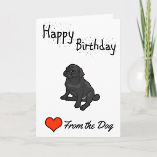 Carte Joyeux anniversaire du chien
