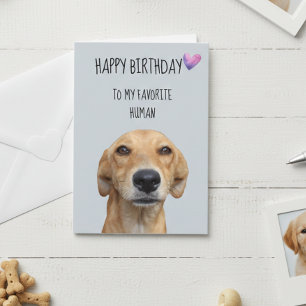 Carte Joyeux Anniversaire du Chien à l'Humain Préféré