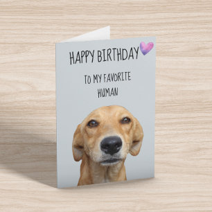 Carte Joyeux Anniversaire Du Chien Au Favori Humain