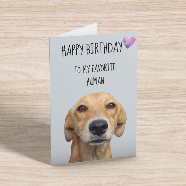 Carte Joyeux Anniversaire Du Chien Au Favori Humain (Créateur téléchargé)