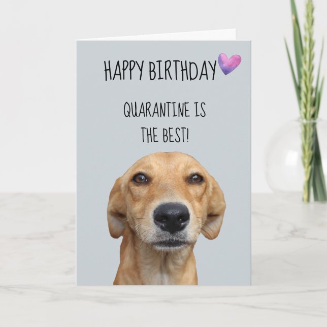 Carte Joyeux Anniversaire Du Chien Quarantine Covid-19 (Devant)
