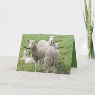 Carte Joyeux anniversaire du mouton dans un champ vert