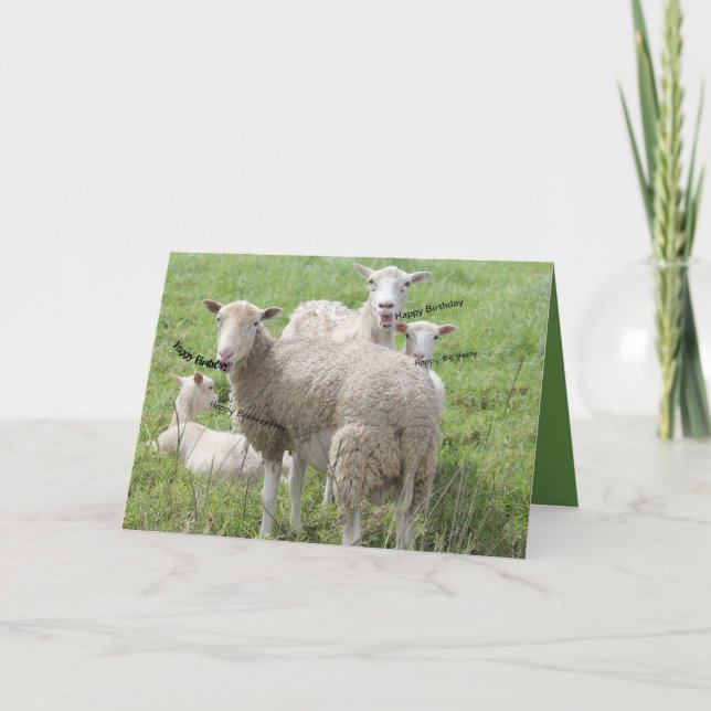 Carte Joyeux anniversaire du mouton dans un champ vert (Devant)