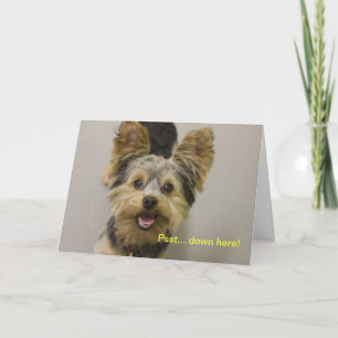 Carte Joyeux anniversaire du petit.