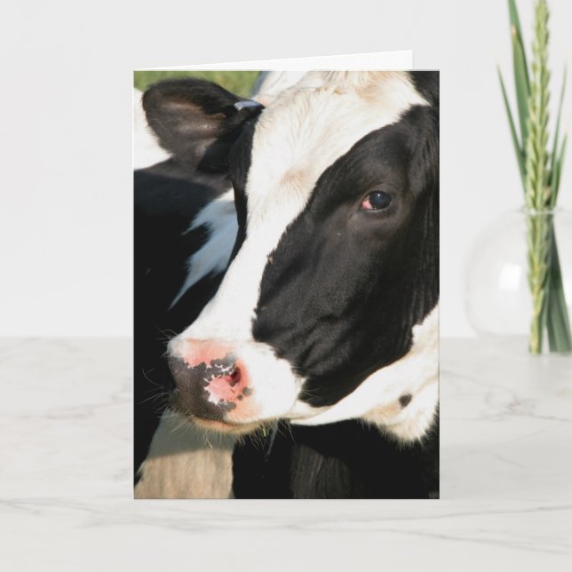 Carte Joyeux anniversaire d'Udderly (Devant)