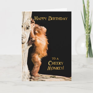Carte Joyeux anniversaire d'un bébé orang utan