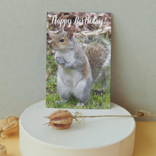 Carte Joyeux Anniversaire Écureuil Gris Mignon
