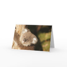 Joyeux Anniversaire Fête de Koalas Mignons