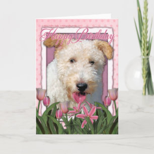 Carte Joyeux anniversaire - Fil Fox Terrier - Hailey