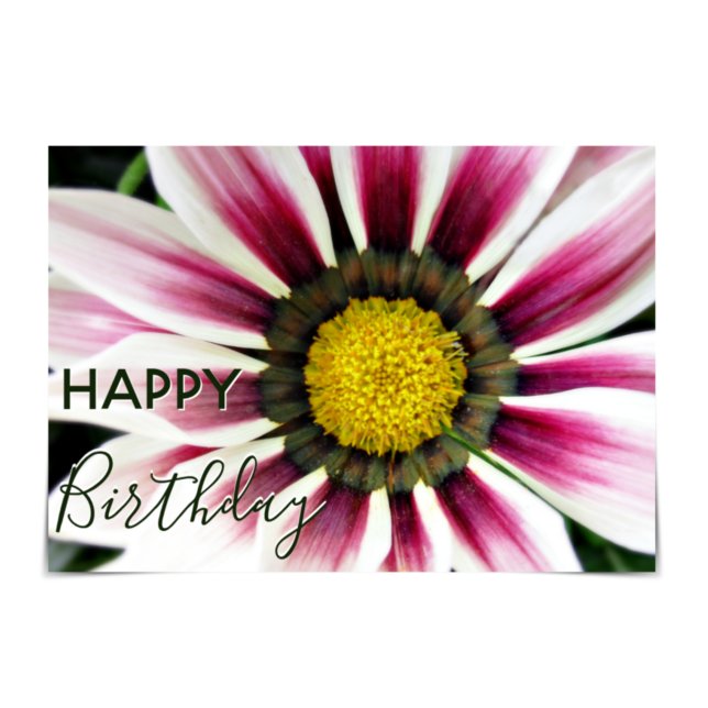 Carte "Joyeux anniversaire" Fleurie violette de Gazania (Créateur téléchargé)
