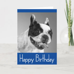 Carte Joyeux Anniversaire Français Bulldog Puppy Card -