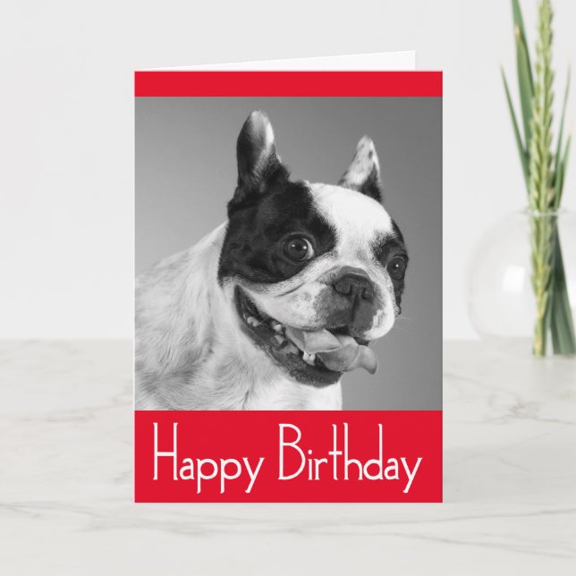 Carte Joyeux Anniversaire Français Bulldog Puppy Card -  (Devant)