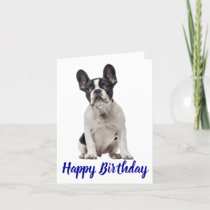 Carte Joyeux anniversaire Français Chien Chien Chien Chi