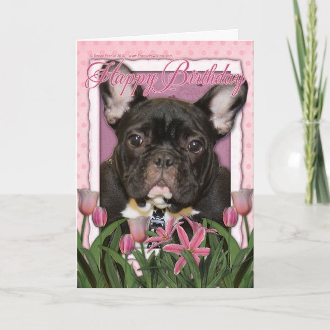 Carte Joyeux anniversaire - French Bulldog - Turquoise (Devant)