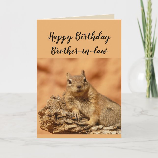 Carte Joyeux Anniversaire Frère en beaux-Humour d'écureu (Devant)