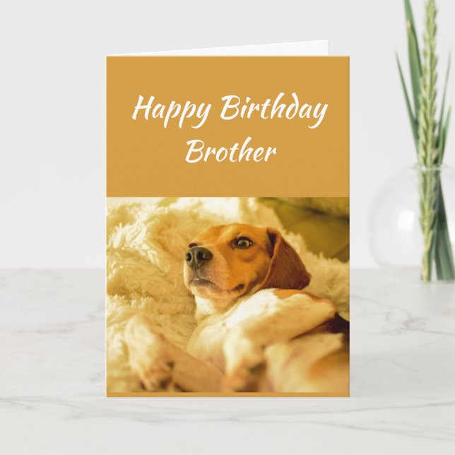 Carte Joyeux Anniversaire Frère Funny Animaux (Devant)