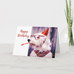 Carte Joyeux Anniversaire Fun Chien Animateur Blanc à l'