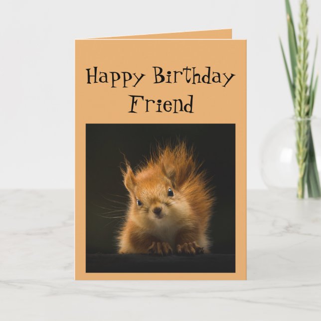 Carte Joyeux Anniversaire Funny AMI Animal d'écureuil ro (Devant)