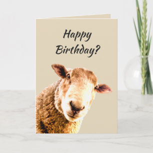 Carte Joyeux anniversaire Funny Sheep Humour animal