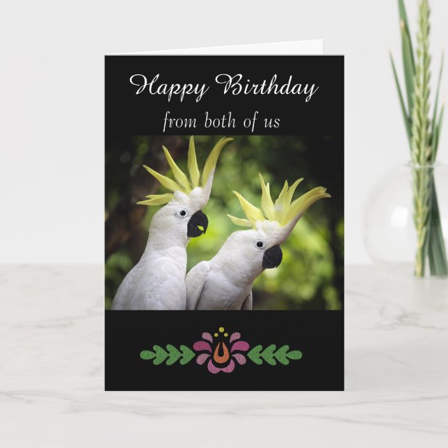 Carte Joyeux anniversaire - Général - Cockatoos peints (Devant)