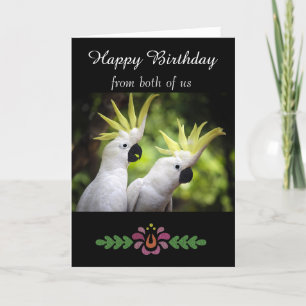 Carte Joyeux anniversaire - Général - Cockatoos peints