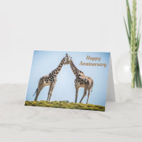 Joyeux anniversaire Giraffes romantiques embrasser