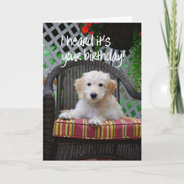 Carte Joyeux Anniversaire Golden Doodle Chiot (Devant)