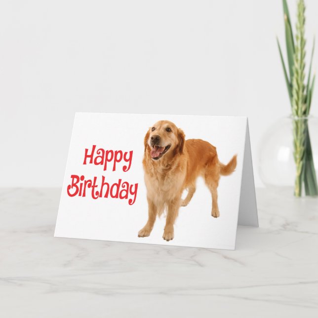Carte Joyeux anniversaire Golden Retriever (Devant)