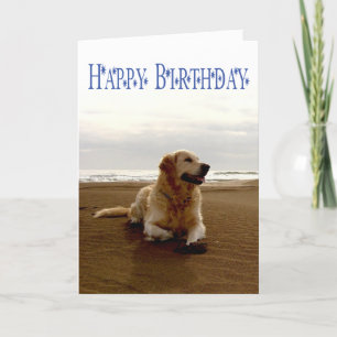 Carte Joyeux Anniversaire Golden Retriever Chien chiot