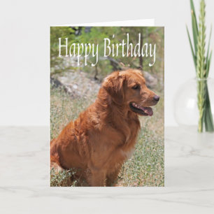 Carte Joyeux Anniversaire Golden Retriever Chien chiot