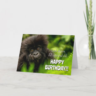 Carte Joyeux anniversaire   Gorille des Montagnes Infant