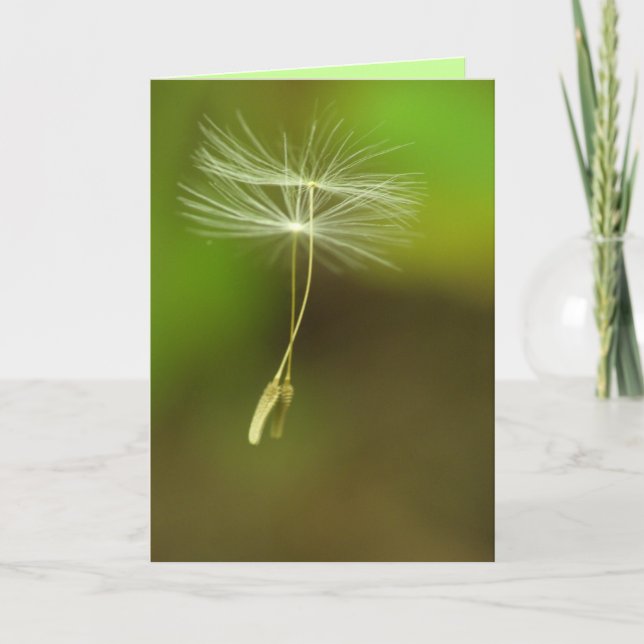 Carte Joyeux anniversaire - graines de pissenlit de vol (Devant)