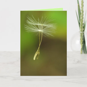Carte Joyeux anniversaire - graines de pissenlit de vol