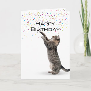 Carte Joyeux Anniversaire gris Tabby Chat
